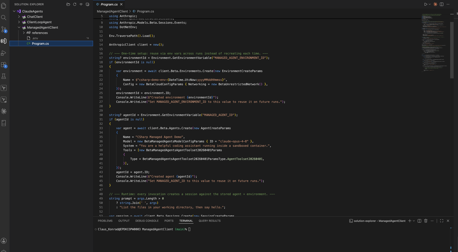 ManagedAgentClient one-time setup code creating the Environment and Agent, reusing IDs from environment variables
